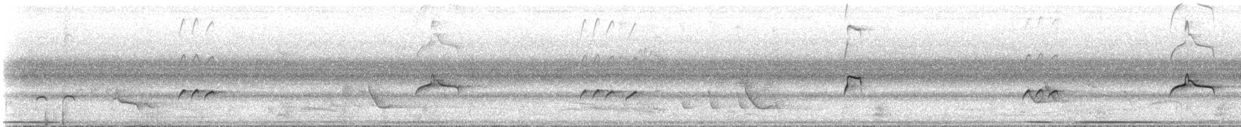 Piratic Flycatcher - ML646806763