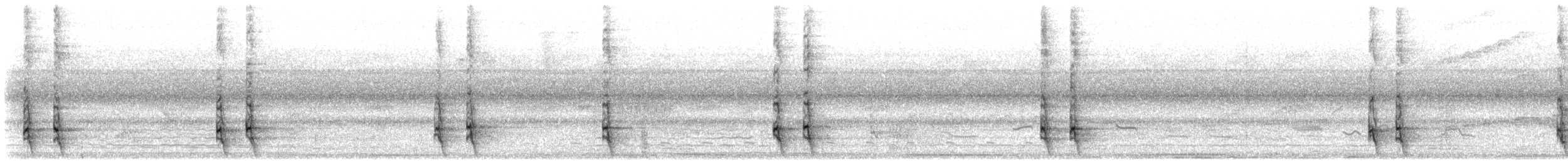 Plush-crested Jay - ML646806771