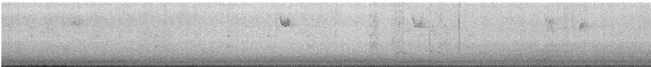 White-throated Sparrow - ML646807058