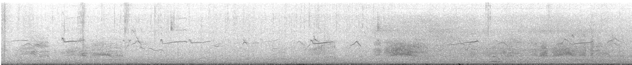 שחפית כספית - ML646807170