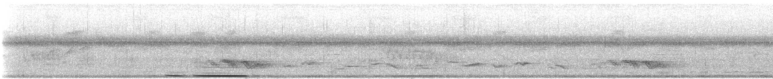 White-tipped Dove - ML646807172