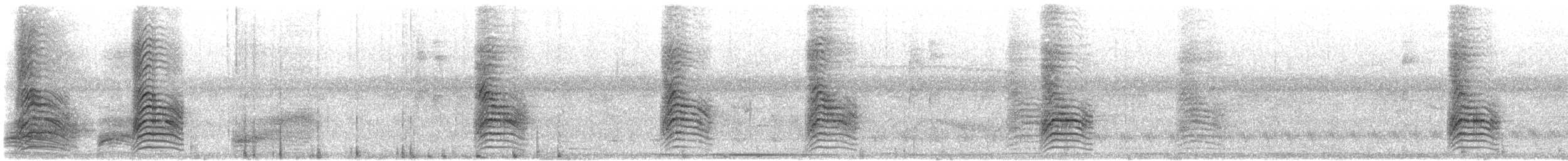 Golden-winged Cacique - ML646807265