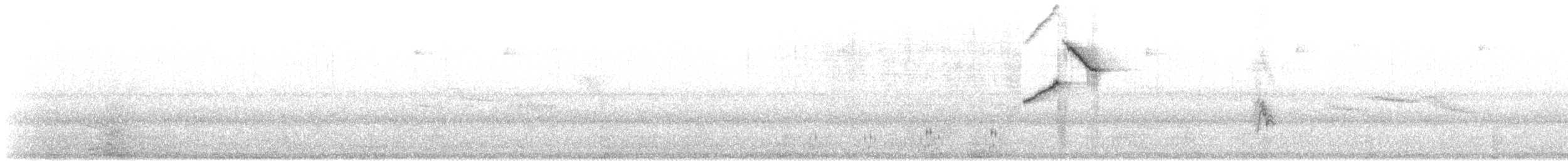 Shiny Cowbird - ML646807271