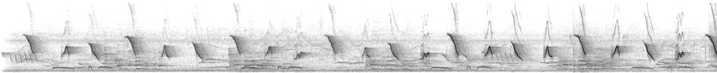 Yellow-billed Cardinal - ML646807278