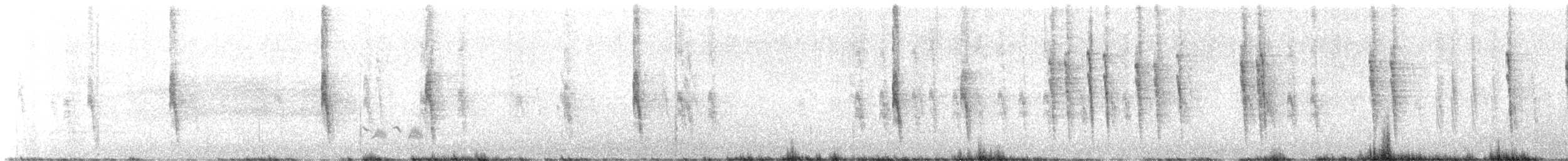 חקיינית צפונית - ML646807316