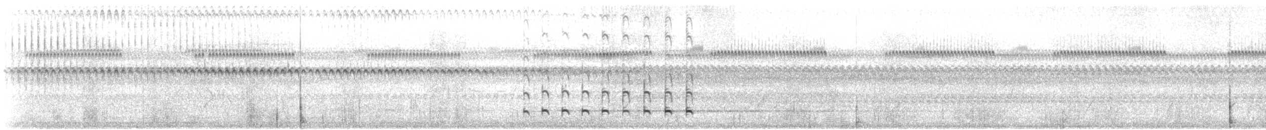 Plumbeous Ibis - ML646807391