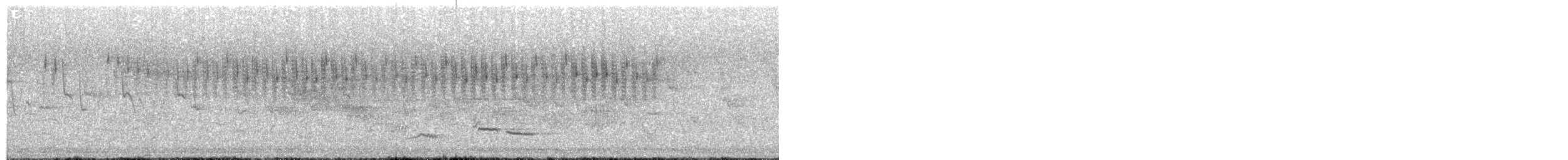 River Warbler - ML646807659