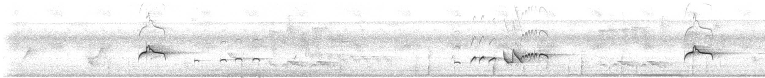 Piratic Flycatcher - ML646807860