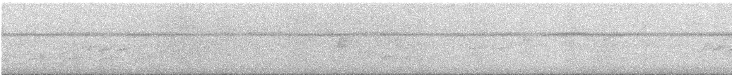 Laughing Falcon - ML646808022