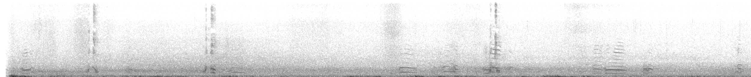 Schneegans - ML646808331