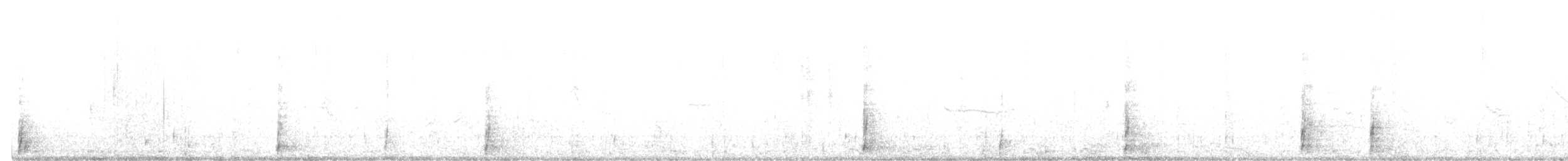 Dindon sauvage - ML646808722