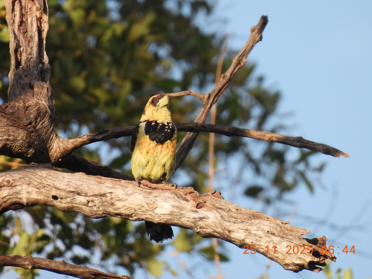 Barbican promépic - ML646809031