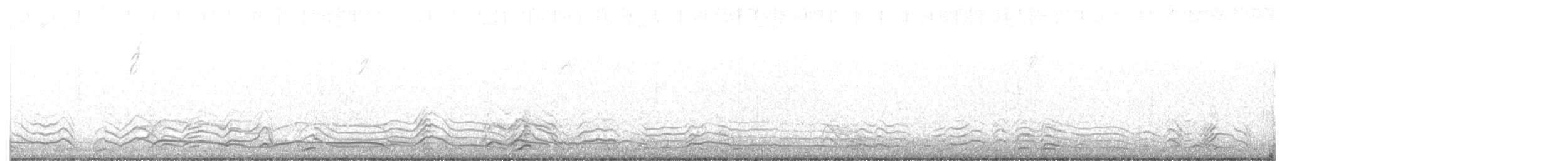 Coyote - ML646809074