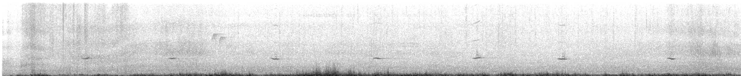 Townsend's Solitaire - ML646809551