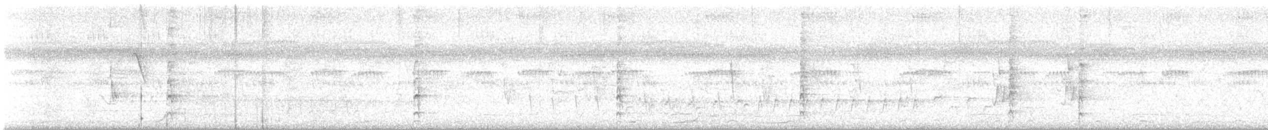 Левинія австралійська - ML646809828