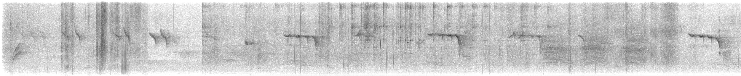 ハイエボシガラ - ML646810477