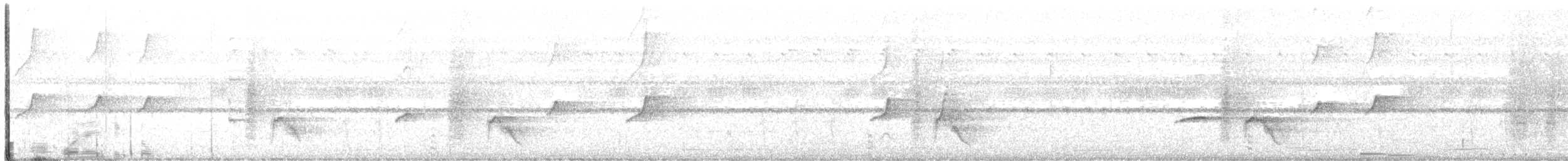 Palawan Drongo - ML646810572