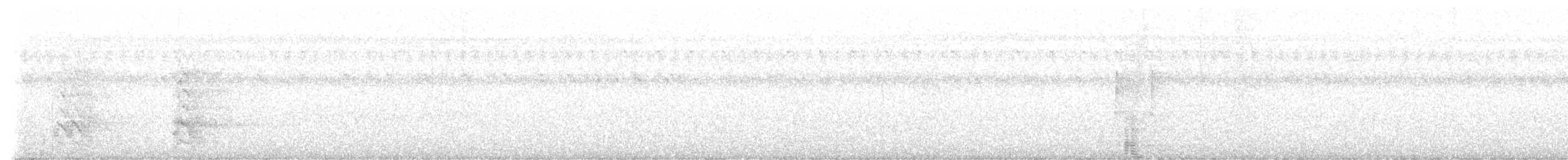 White-bellied Woodpecker - ML646811325