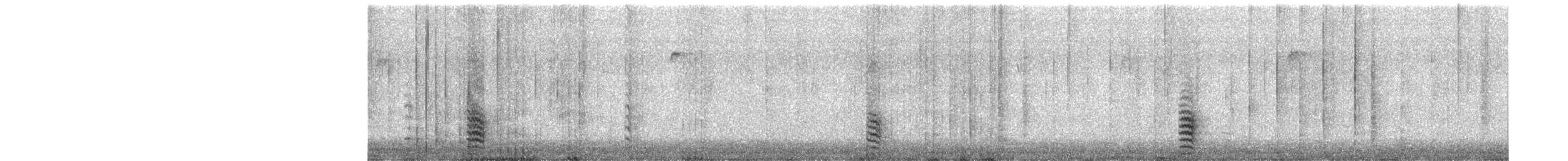 White-breasted Nuthatch - ML646812187