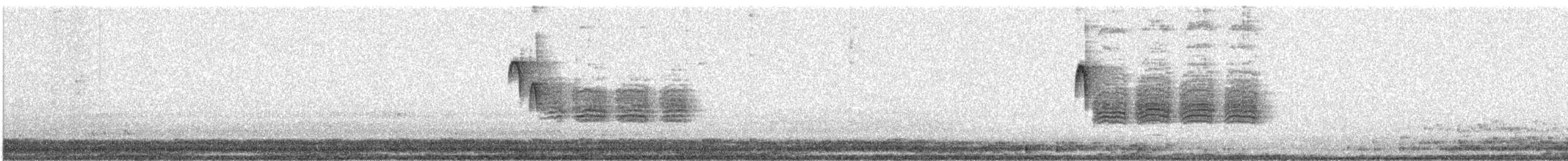 Carbonero Cabecinegro - ML646812246