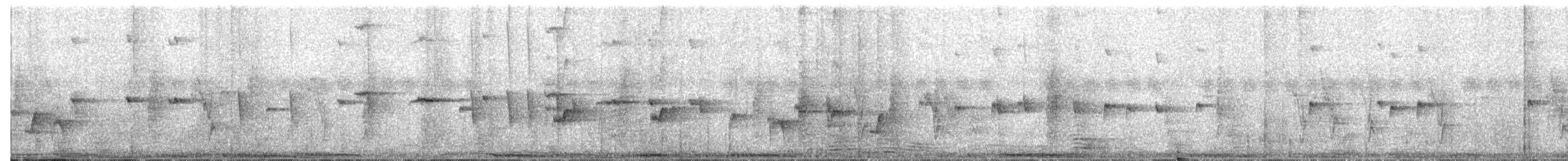 Philippine Pied-Fantail - ML646812294