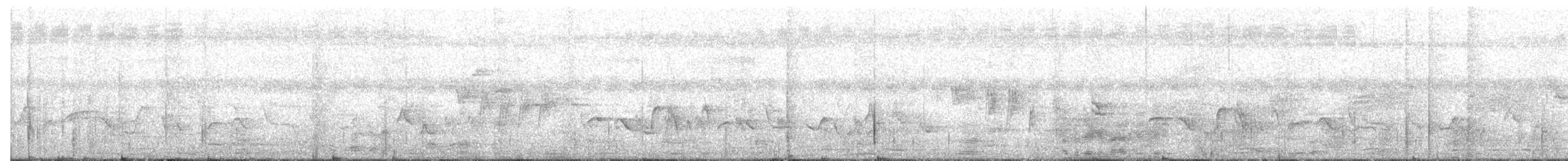 Filipin Alaca Bülbülü - ML646812302