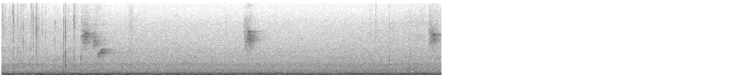 Black-naped Monarch - ML646813055