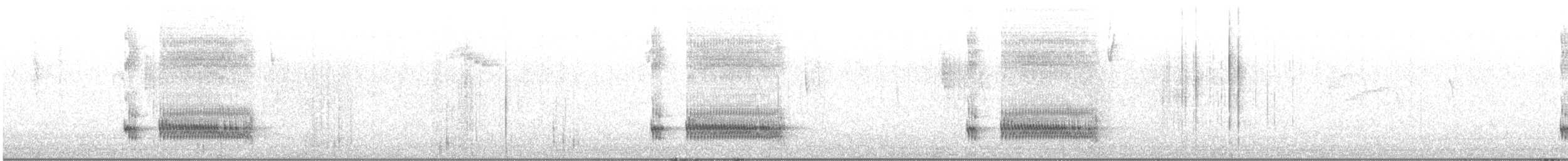 Junin Antpitta - ML646813292