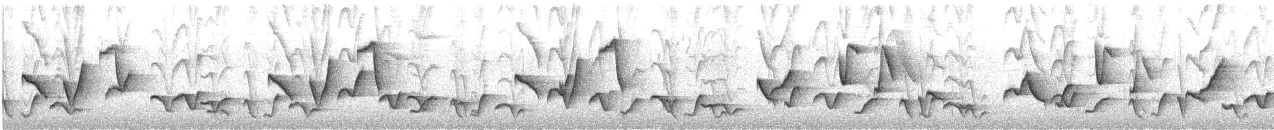 Mantaro Wren (undescribed form) - ML646813304