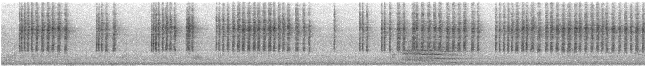 Spotted Scrubwren - ML646813518