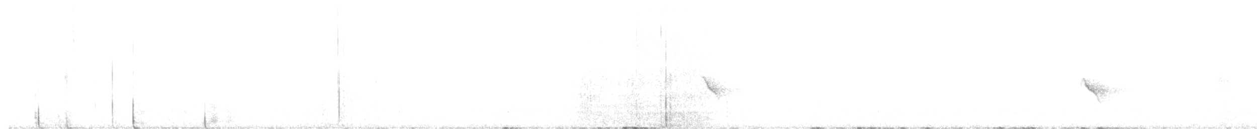 Mokolodi bekainoria - ML646813696