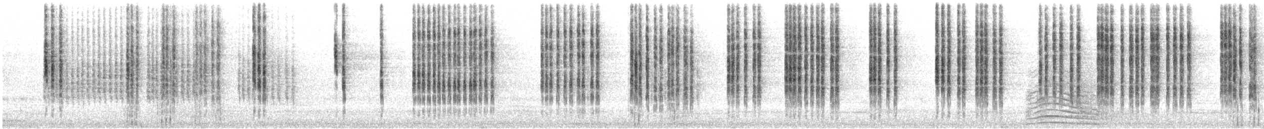 Spotted Scrubwren - ML646813774