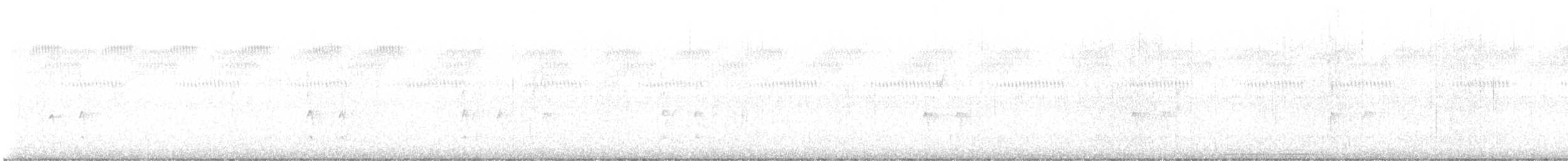 フユミソサザイ - ML646813890