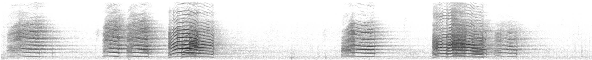 kakadu hrabavý - ML646814281