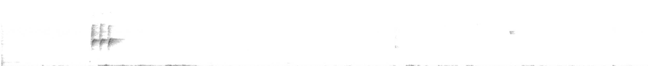 libohlásek Bonapartův - ML646814457