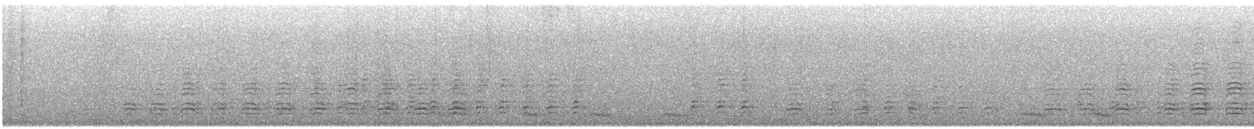 orel bělobřichý - ML646814902