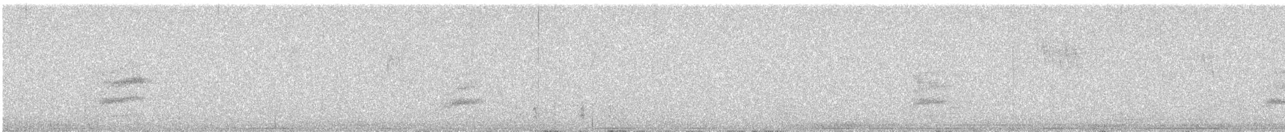 Spotted Towhee - ML646815053