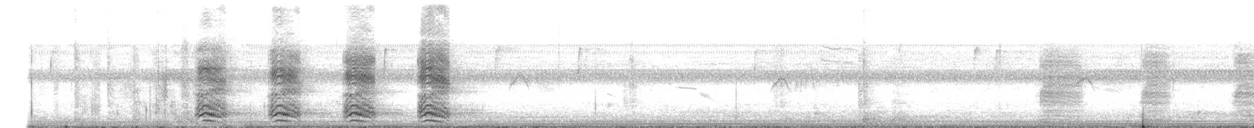 vrána americká - ML646815098