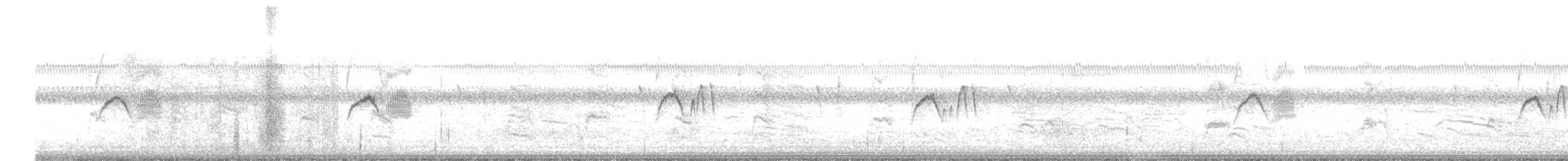 tyranovec domácí - ML646815116