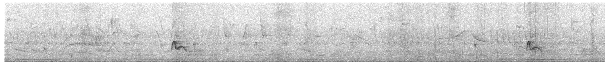 Élénie à bec court - ML646815287