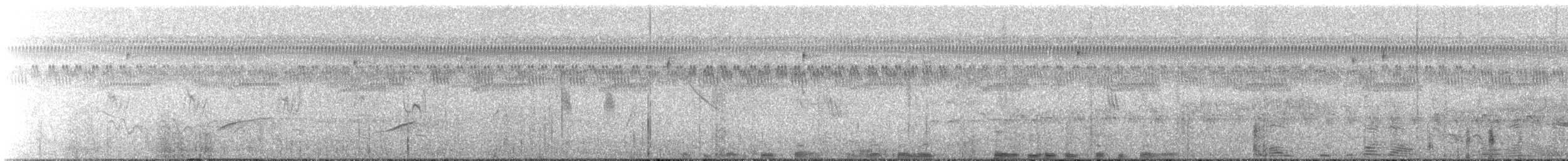 Grassland Sparrow - ML646815568