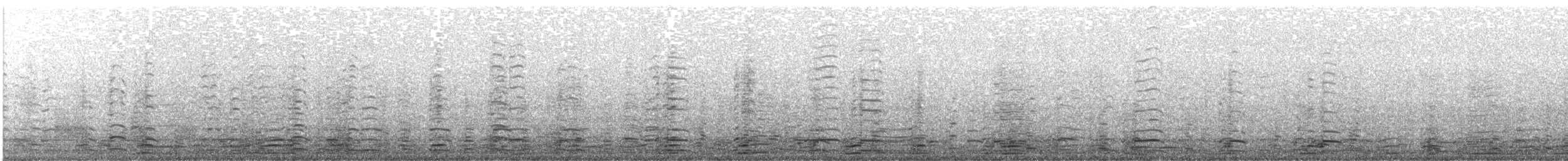 ברנטה קנדית - ML646815615