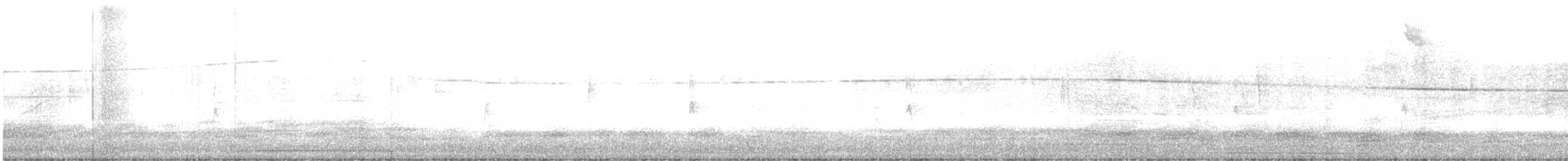 Song Sparrow - ML646815717