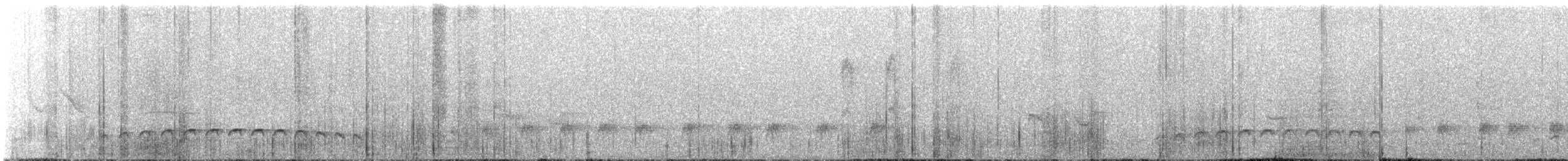 Spot-breasted Antvireo - ML646815797