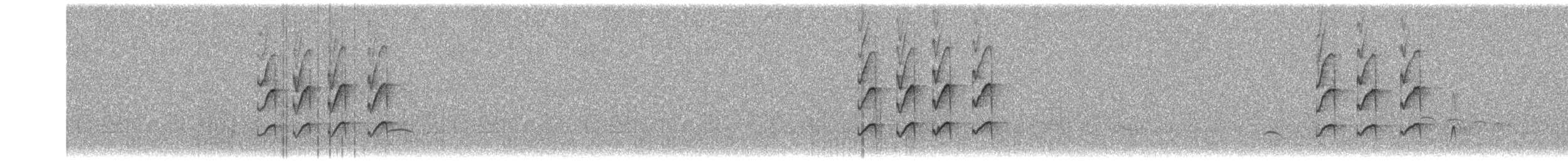 Pearly-vented Tody-Tyrant - ML646815889