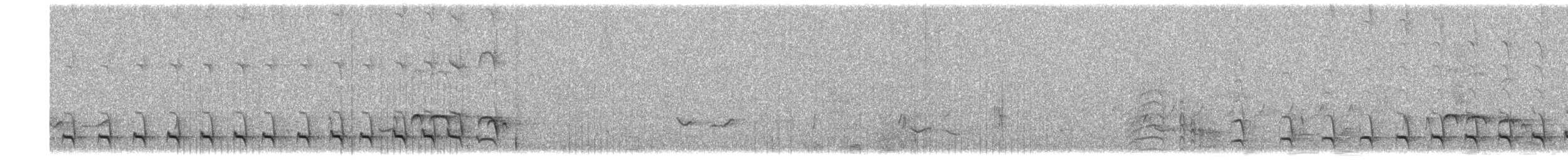 Black-crested Antshrike (Streak-fronted) - ML646815914