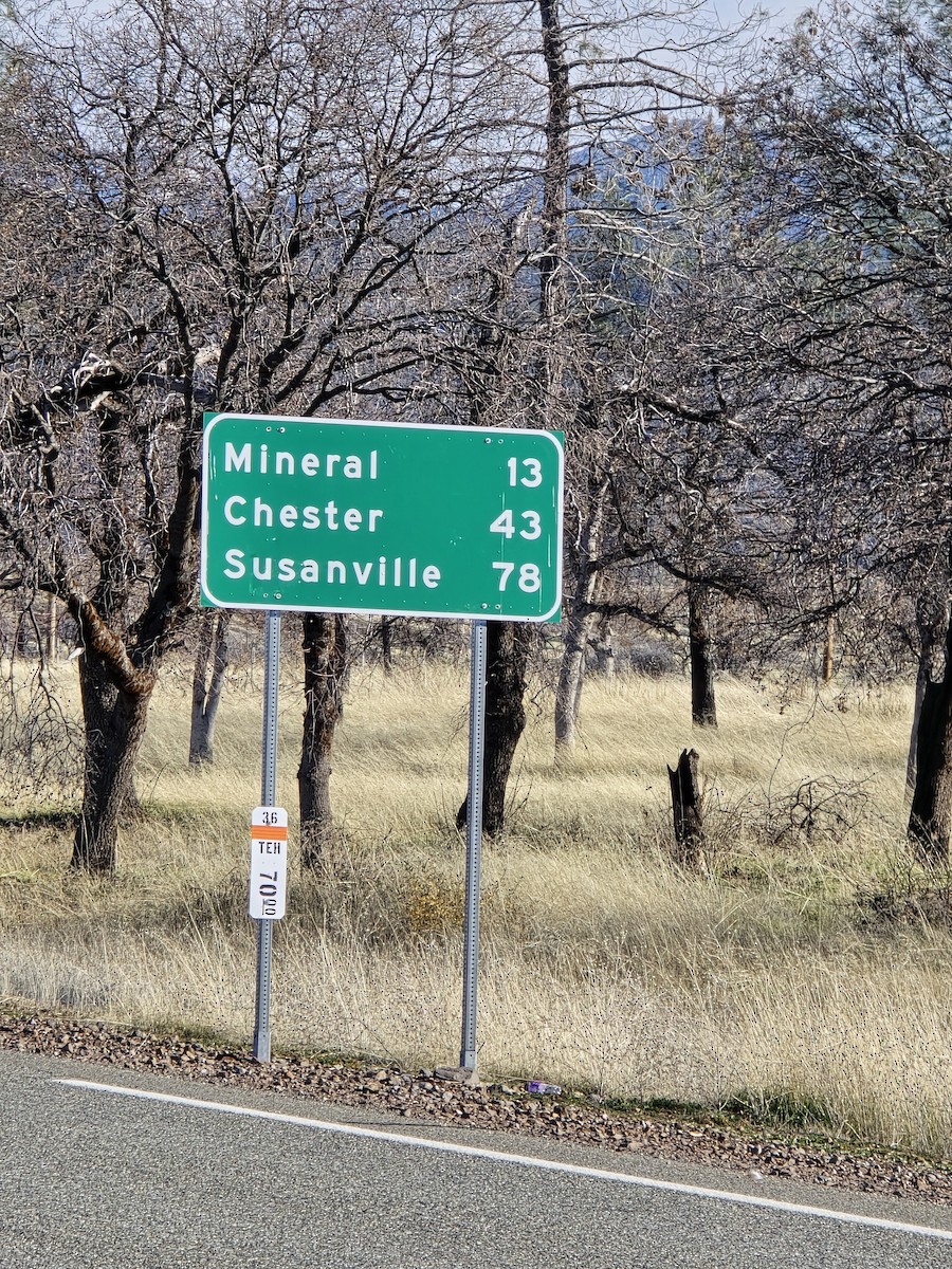 Águila Real - ML646816128