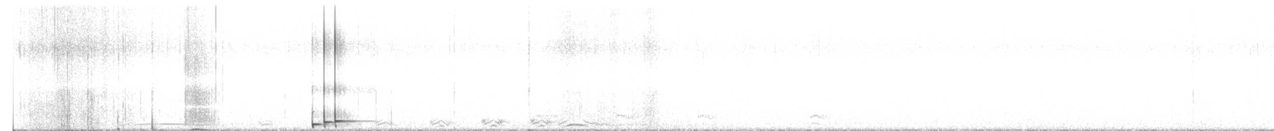 puštík proužkovaný - ML646816272