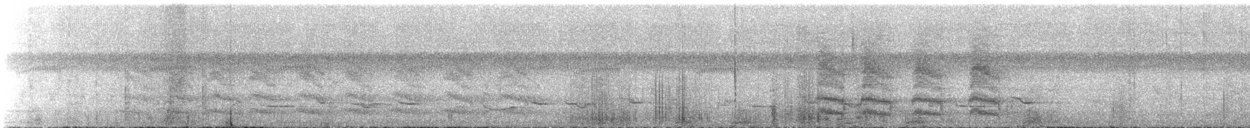 sojka kadeřavá - ML646816282