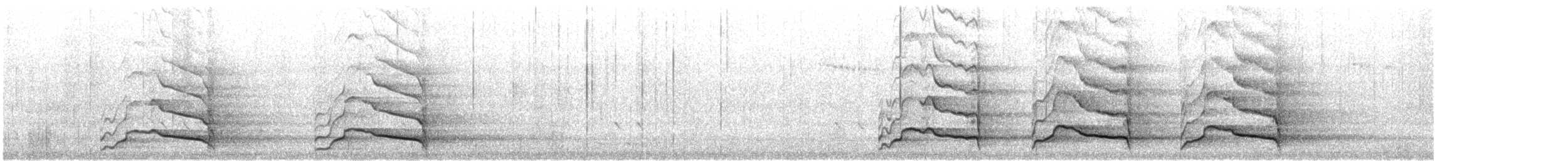 kakadu bělouchý - ML646816286